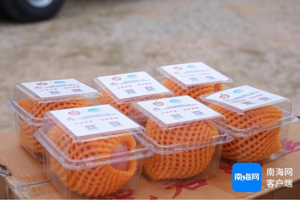 12 吨苹果运抵三亚，为运动会加点甜  第4张