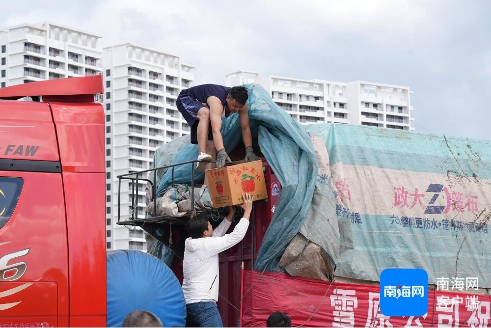 12 吨苹果运抵三亚，为运动会加点甜  第5张