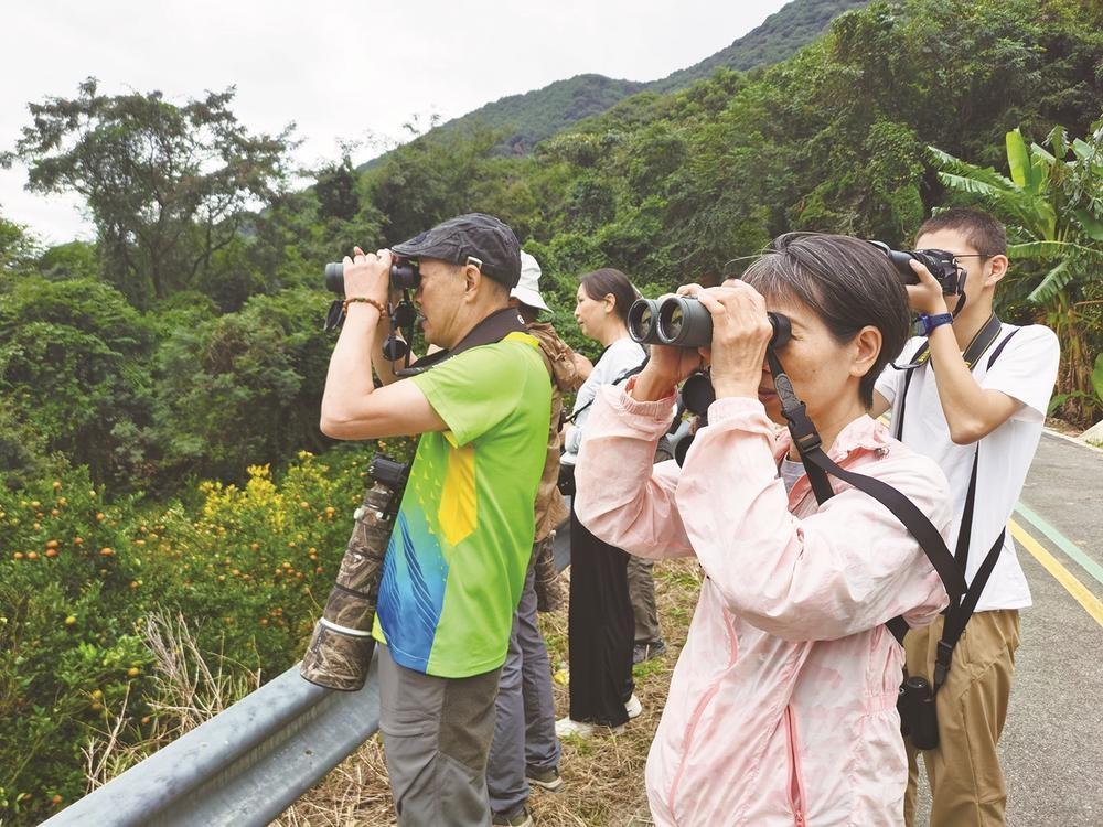130 人参赛，年龄最小仅 8 岁！这场观鸟比赛太精彩了  第2张