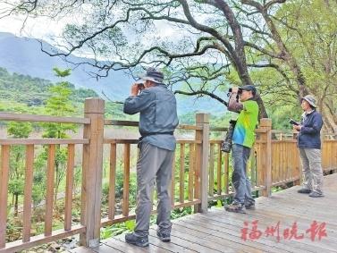 2024 年全民观鸟节福州站比赛热闹上演，你还不来吗？