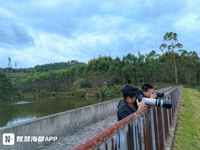 2024 年全民观鸟节福州站：东张镇全域观鸟比赛，130 人齐聚，最小仅 8 岁  第1张