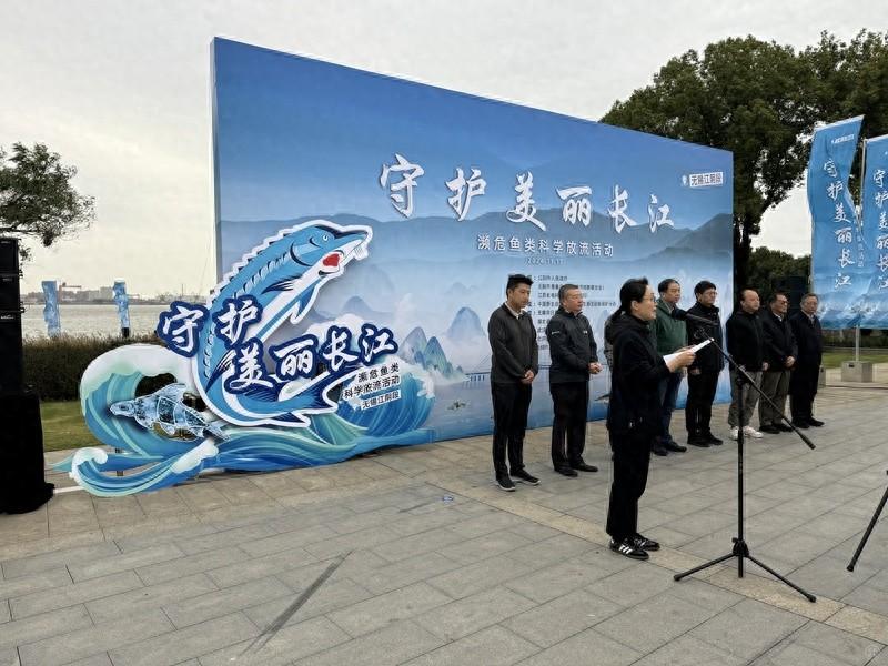 430 尾中华鲟和 2 万尾胭脂鱼回家！这次放流活动不一般