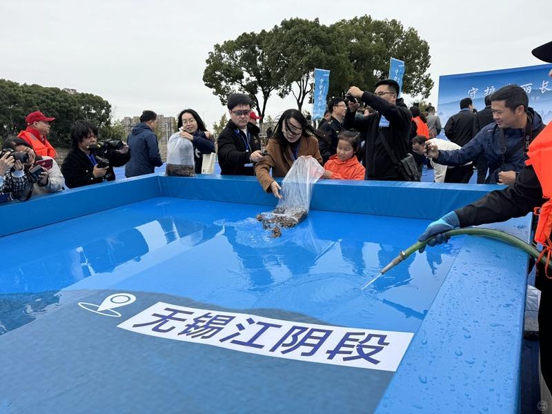 430 尾中华鲟和 2 万尾胭脂鱼回家！这次放流活动不一般  第3张
