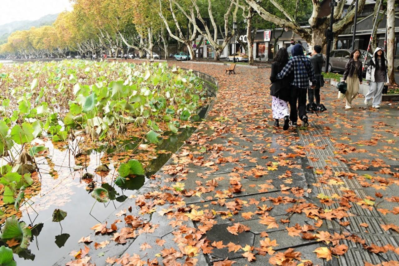 冷空气南下，浙江气温骤降！本周晴多雨少，你准备好了吗？  第1张