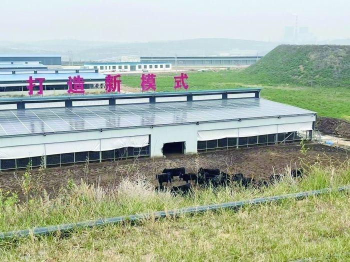 煤电公司的华丽转身：从传统火电到现代化能源巨头的崛起  第2张