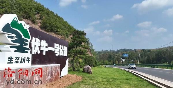 210 公里！生态伏牛一号旅游公路串起汝阳百里画廊，入选全国示范案例  第2张