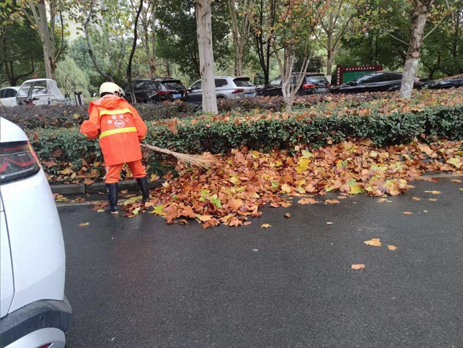 合肥高新区落叶高峰期，环卫工人们顶着寒风细雨清扫，他们的付出值得我们点赞