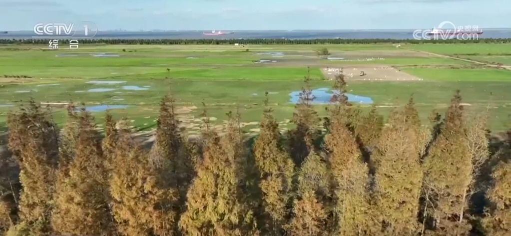 火山灯光秀、太行天路、长江之滨，特色旅游带你领略别样风光  第4张
