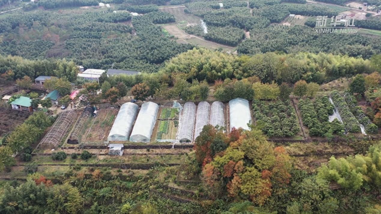 100 亩山地有了新主人，他为何却一筹莫展？供电公司主动上门，结果出人意料