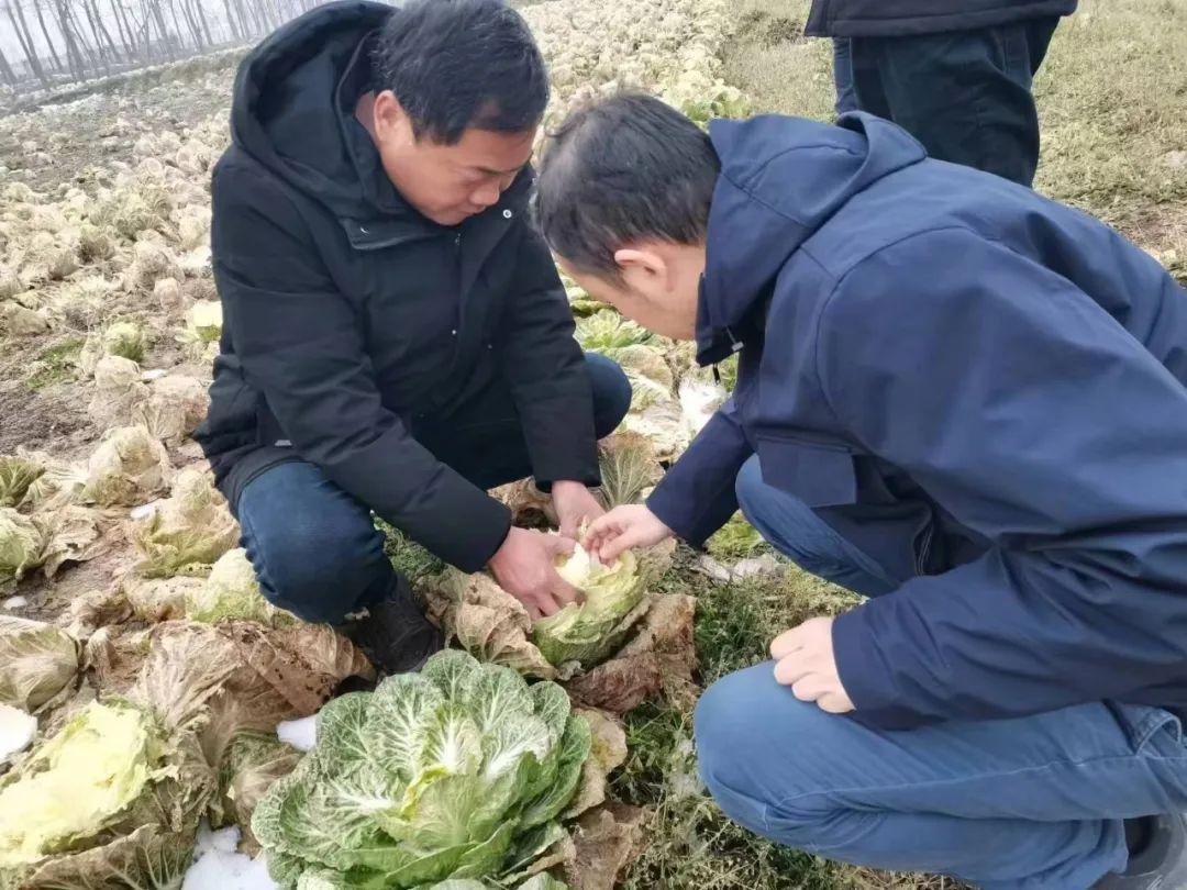 探寻职业与天气的故事，品人间万象！我和天气打交道栏目重磅来袭  第2张