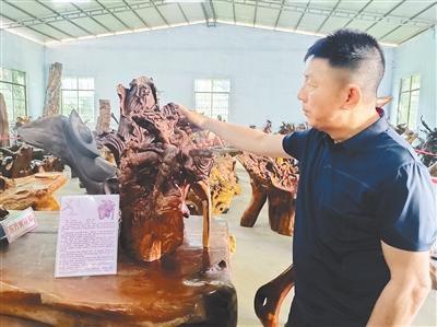 走进东方自然瑰宝园，探寻海南黄花梨的百年传奇