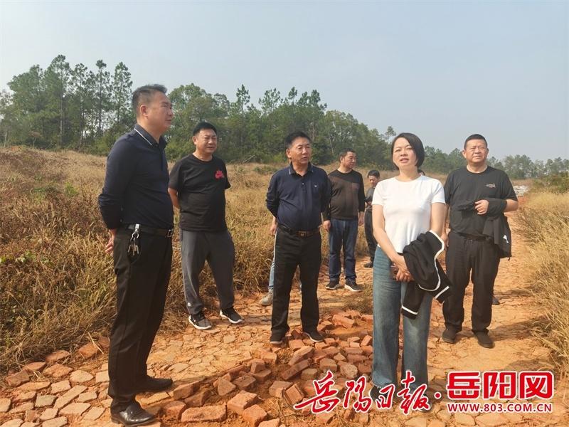 岳阳县委副书记宋华深入开展巡林、巡田、巡河工作，强调要扎实推进各项工作  第2张