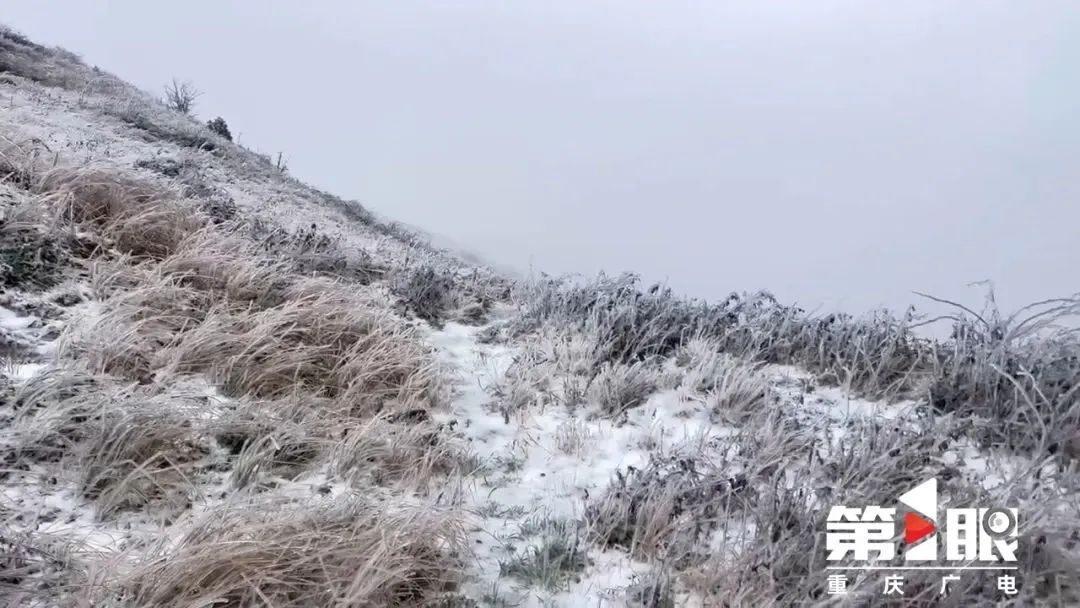 下雪啦！重庆城口县迎来今冬首场降雪，气温骤降  第2张