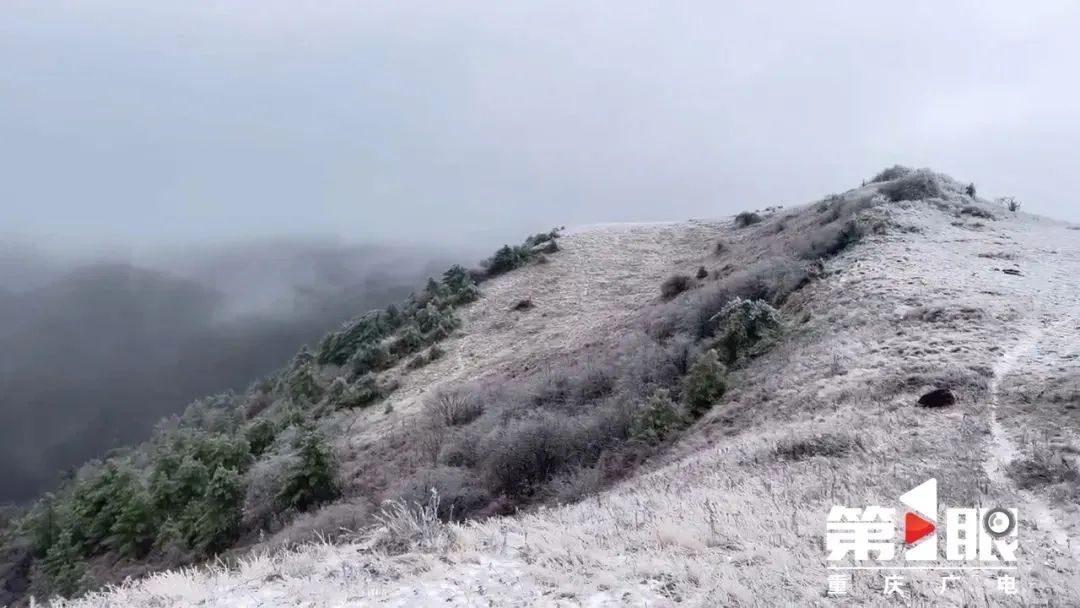 下雪啦！重庆城口县迎来今冬首场降雪，气温骤降  第3张