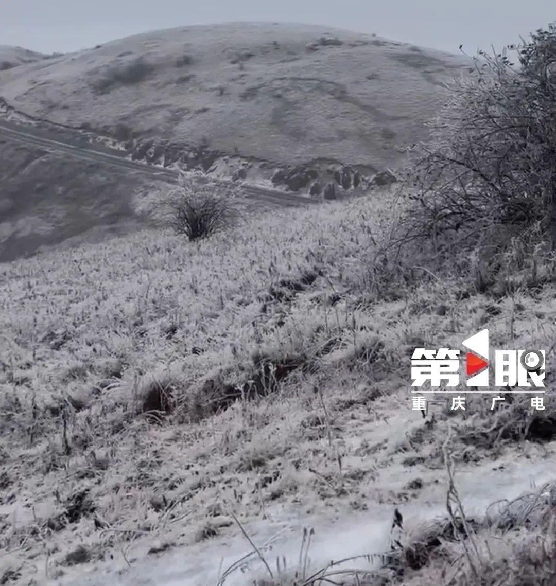 下雪啦！重庆城口县迎来今冬首场降雪，气温骤降  第4张