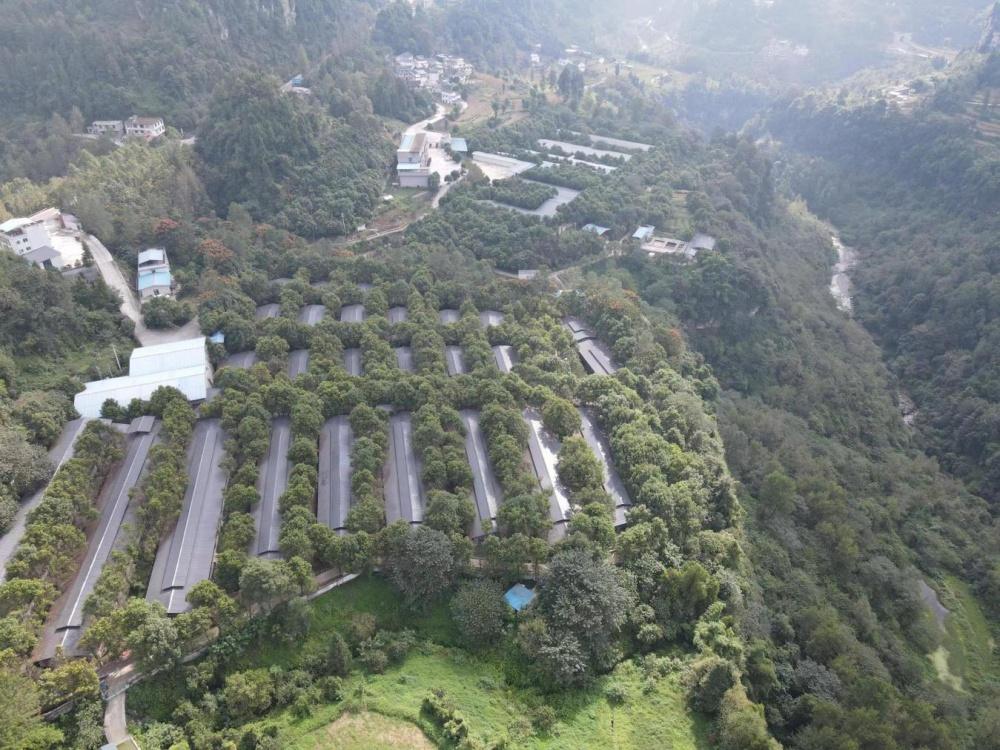 中信集团定点帮扶地区，如何实现全产业链风险管理？  第2张