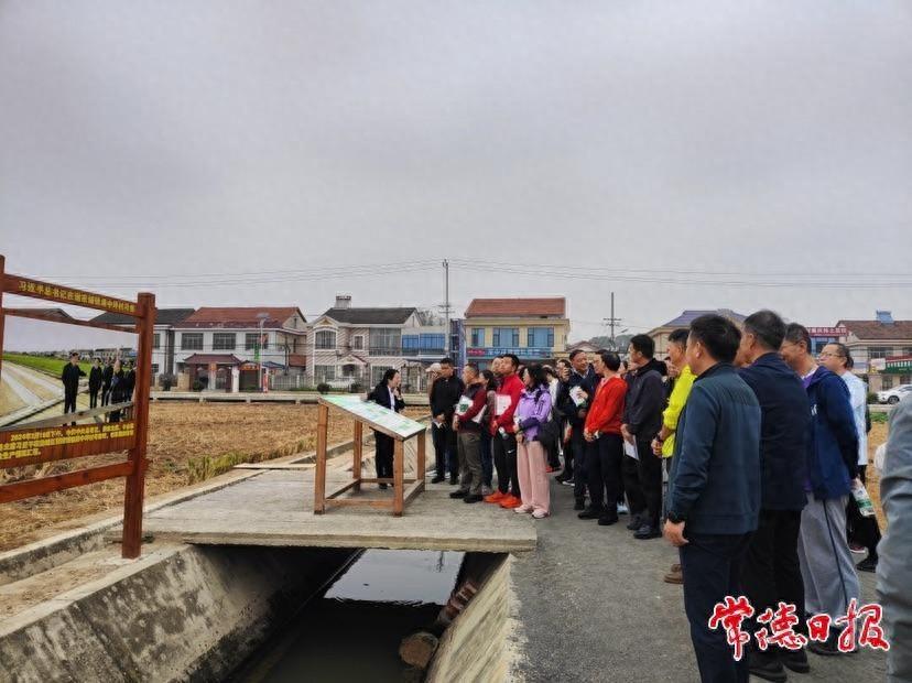 湖南省清华大学校友会考察团来常德调研，都去了哪些地方？