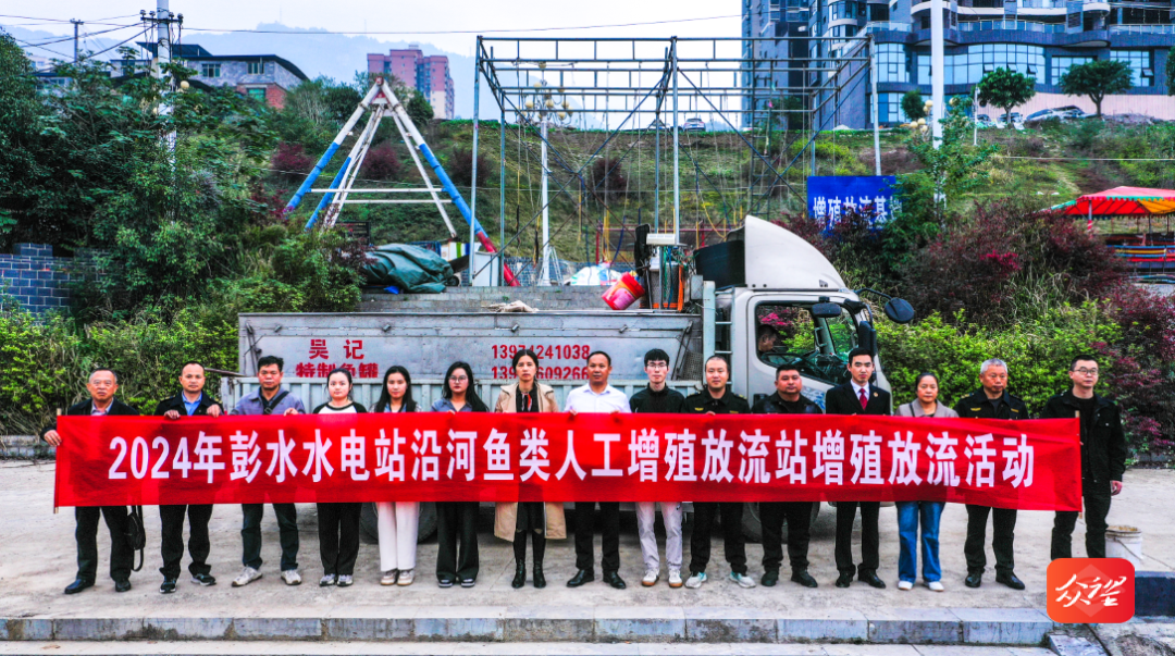 乌江彭水水电站开展人工增殖放流活动，珍稀濒危鱼类有救了  第4张