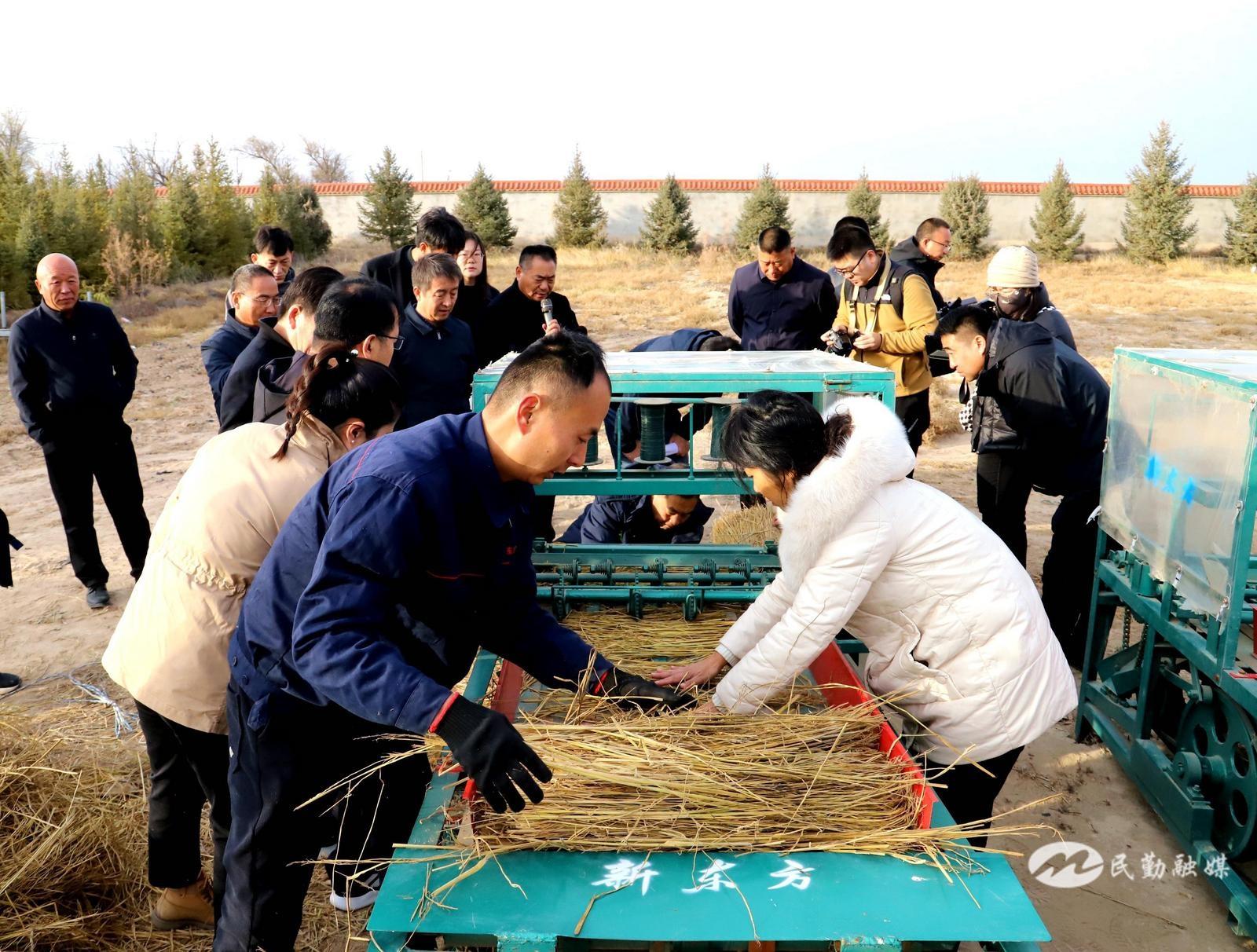 民勤县推进沙漠治理，科技突围！新型压沙车让治沙效率大大提高  第3张