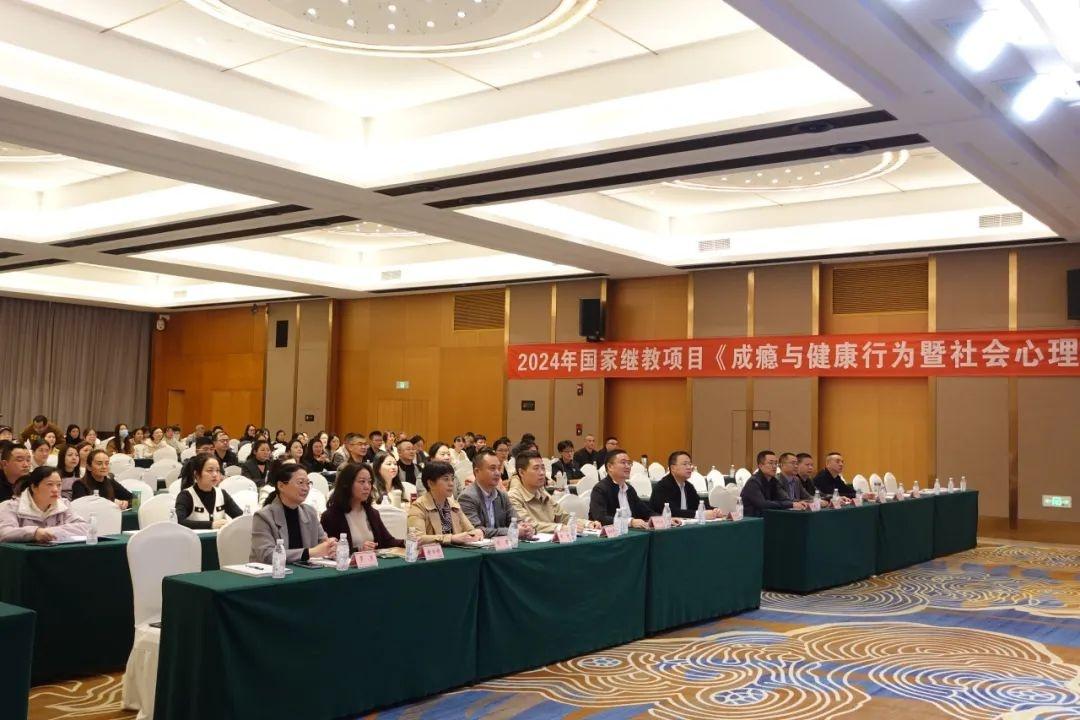 国家级培训班在德阳开班！聚焦青少年网络成瘾，专家分享最新诊疗技术  第2张