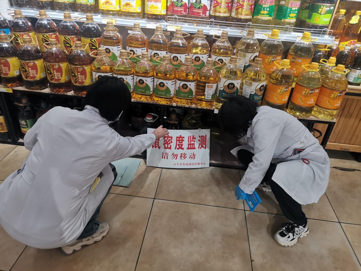 2024 年张掖市疾控中心病媒生物监测工作全面完成，你知道他们都做了些什么吗？  第3张