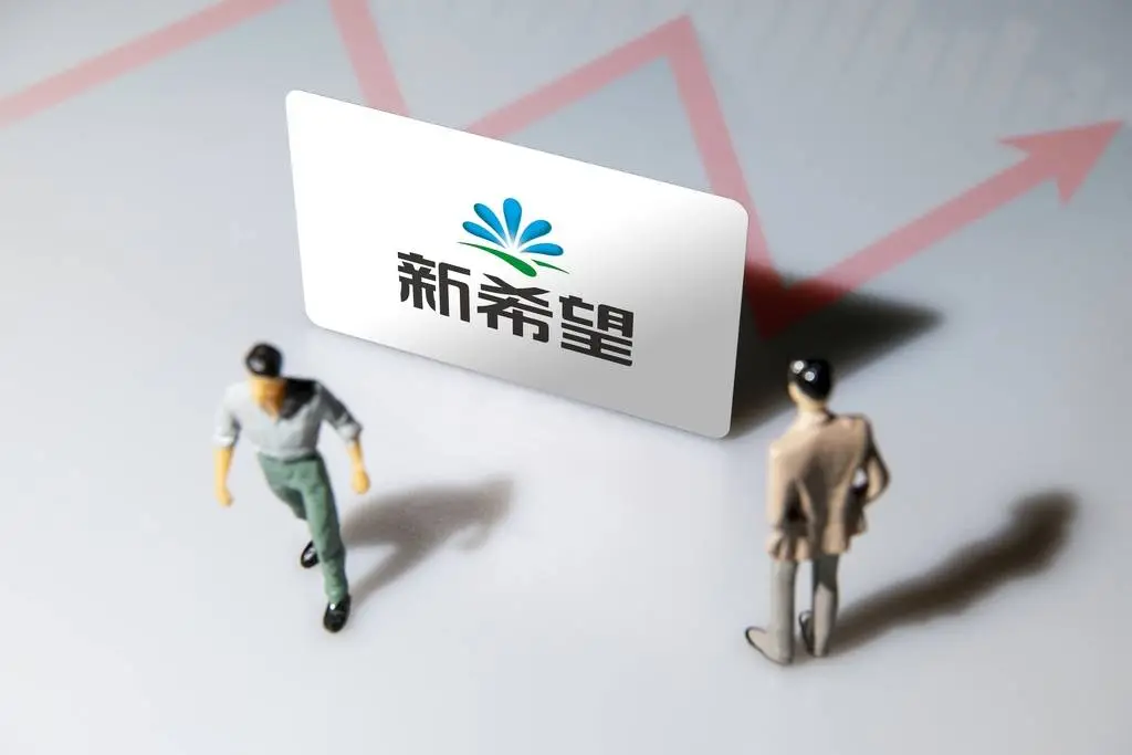 新希望集团出手增持民生银行，背后究竟有何深意？