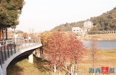 厦门冬日Citywalk：探寻暖冬柔情，感受城市温馨与生机