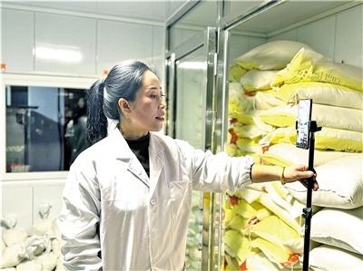 手工粘豆包直播爆红！刘月英带你品尝冬日里的黄米香  第2张