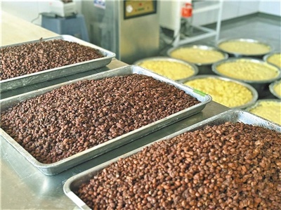 手工粘豆包直播爆红！刘月英带你品尝冬日里的黄米香  第4张