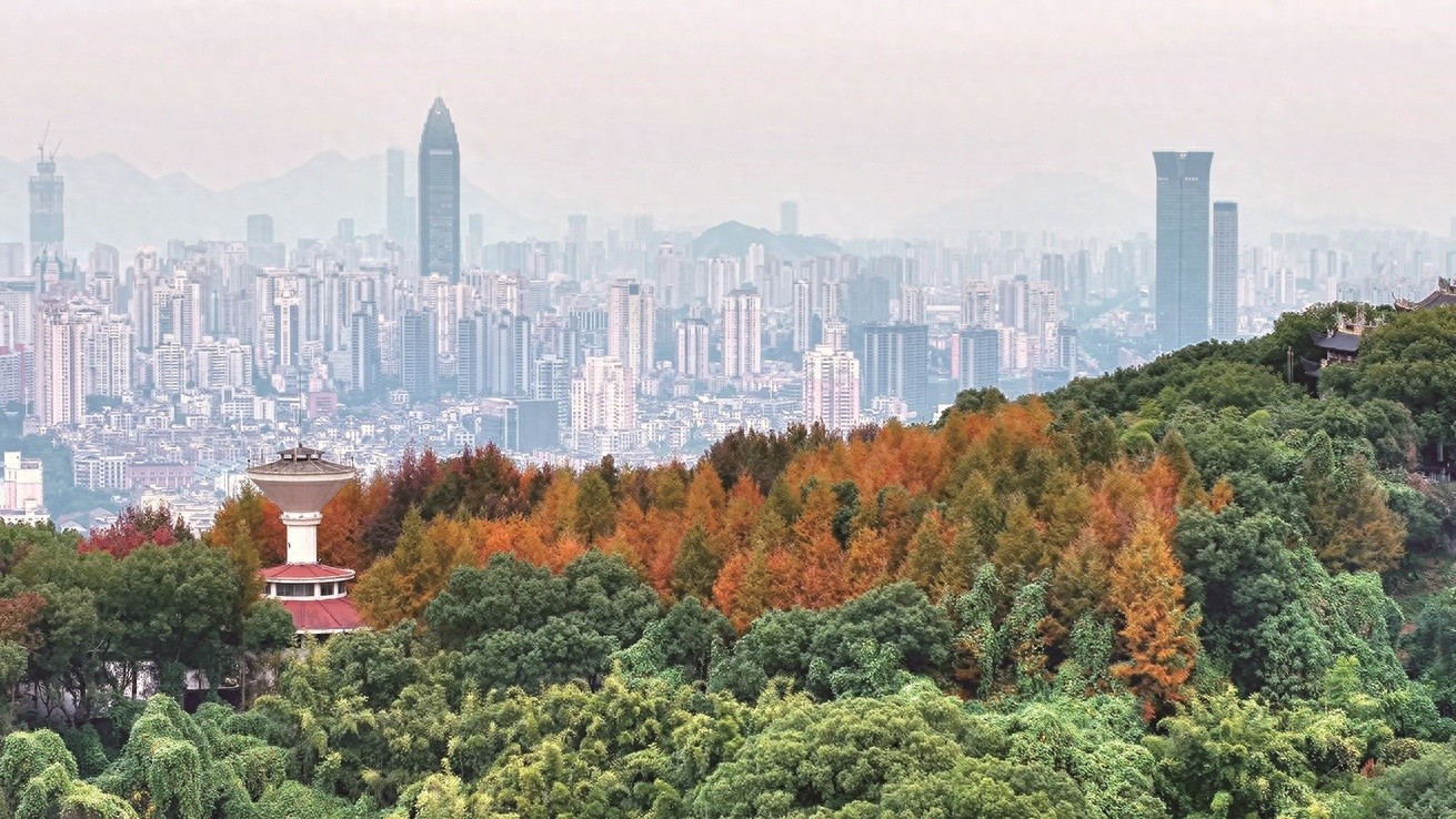 景山公园大变身！2024年市民互动活动揭秘，家门口的微度假天堂等你来体验  第1张