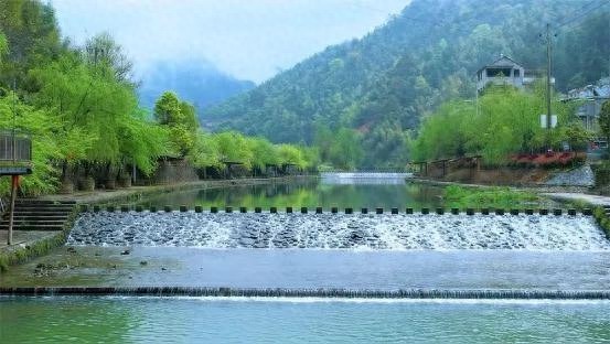 庆元县地表水质量逆袭记：从下滑到重返全省第一的奇迹  第1张