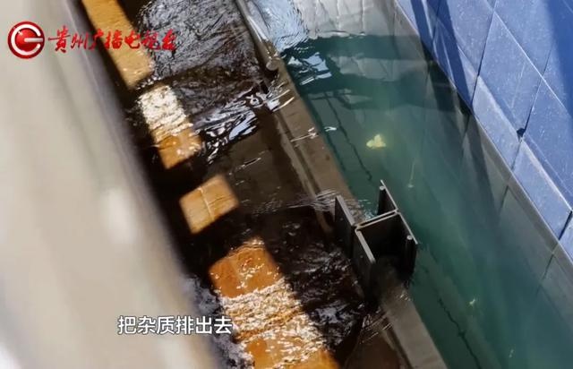 揭秘贵阳中曹水厂：从2万吨到10万吨，30年变迁见证城市供水奇迹  第6张