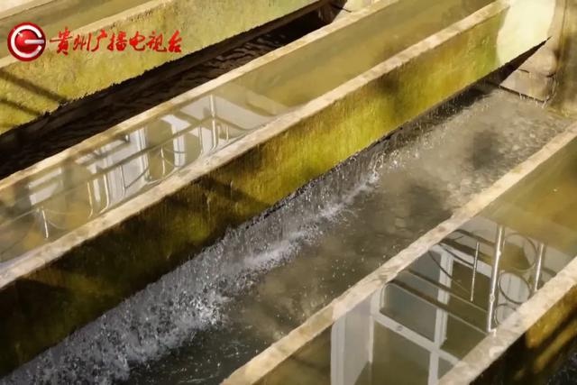 揭秘贵阳中曹水厂：从2万吨到10万吨，30年变迁见证城市供水奇迹  第8张