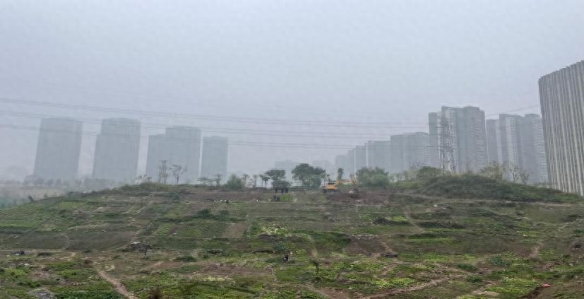重庆荒坡大变身：15000㎡荒地如何成为居民家门口的公园？