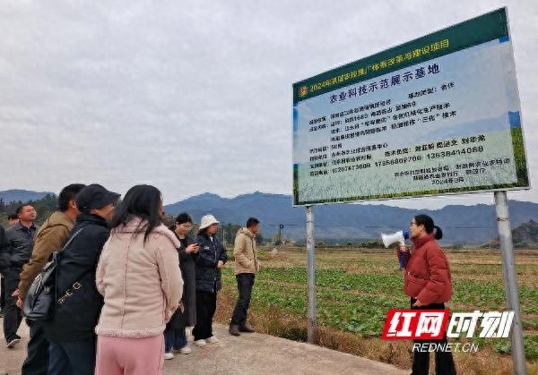 揭秘江永县农技员冬季培训：如何提升油菜抗寒防冻能力？