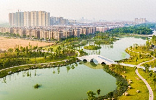 金湖县：从蚊虫滋生的脏乱河道到市民幸福散步的生态廊道，这里发生了什么？  第1张