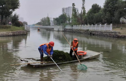 金湖县：从蚊虫滋生的脏乱河道到市民幸福散步的生态廊道，这里发生了什么？  第2张