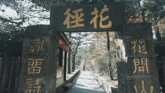 歪果仁穿汉服登庐山，背古诗感受中华文化魅力，你敢信？  第5张