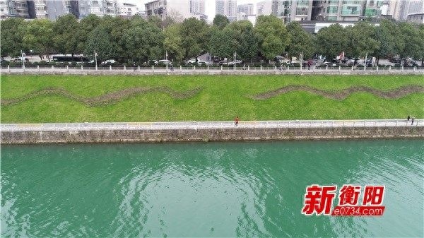 2024年衡阳地表水质量揭秘：44个断面中仅1个未达标，水质变化惊人