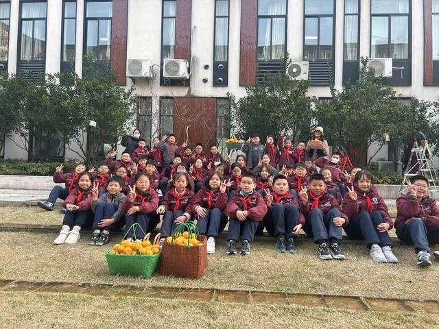 校园橘子采摘节：满树金黄宛如小灯笼，孩子们的欢乐笑声响彻冬日  第7张
