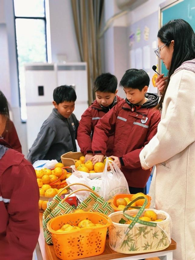 校园橘子采摘节：满树金黄宛如小灯笼，孩子们的欢乐笑声响彻冬日  第8张