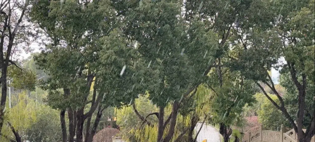 上海突降神秘冰珠子，是雪还是冰雹？气象局揭秘真相