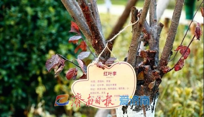 惊！回迁新居竟如此豪华，拎包入住不是梦  第7张