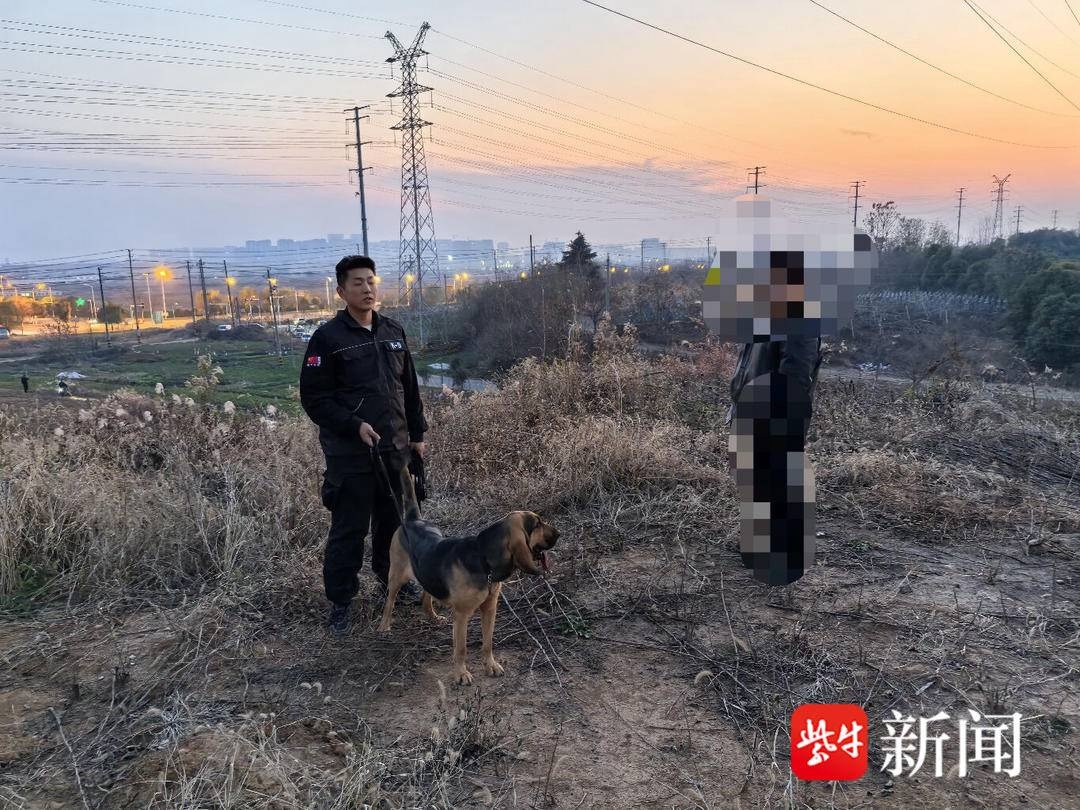 失踪男子荒坡地寻回：沼泽遍布，民警一脚陷到膝盖，救援惊心动魄  第2张