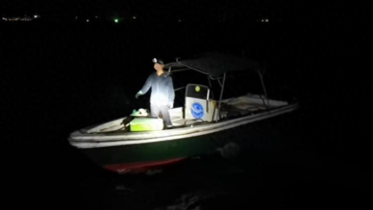 福州海警局查获998枚鹦鹉蛋，部分已破壳，珍贵品种引发关注