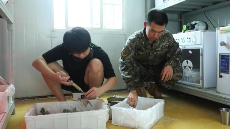 福州海警局查获998枚鹦鹉蛋，部分已破壳，珍贵品种引发关注  第5张