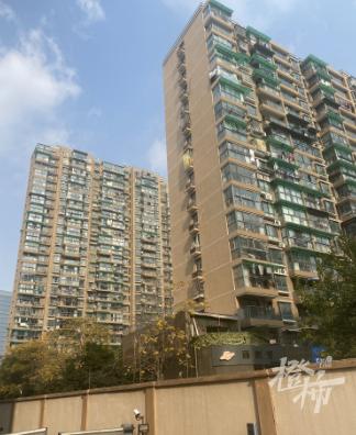 87岁老夫妇遭楼下租户音响轰炸，一年多调解无果，究竟谁在制造噪音？  第2张