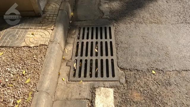 泔水直接倒入雨水管，你能想象后果有多严重吗？  第2张