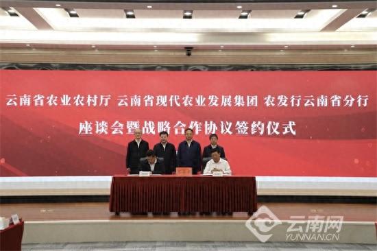 云南政企银三方携手，共筑农业现代化发展新蓝图  第1张