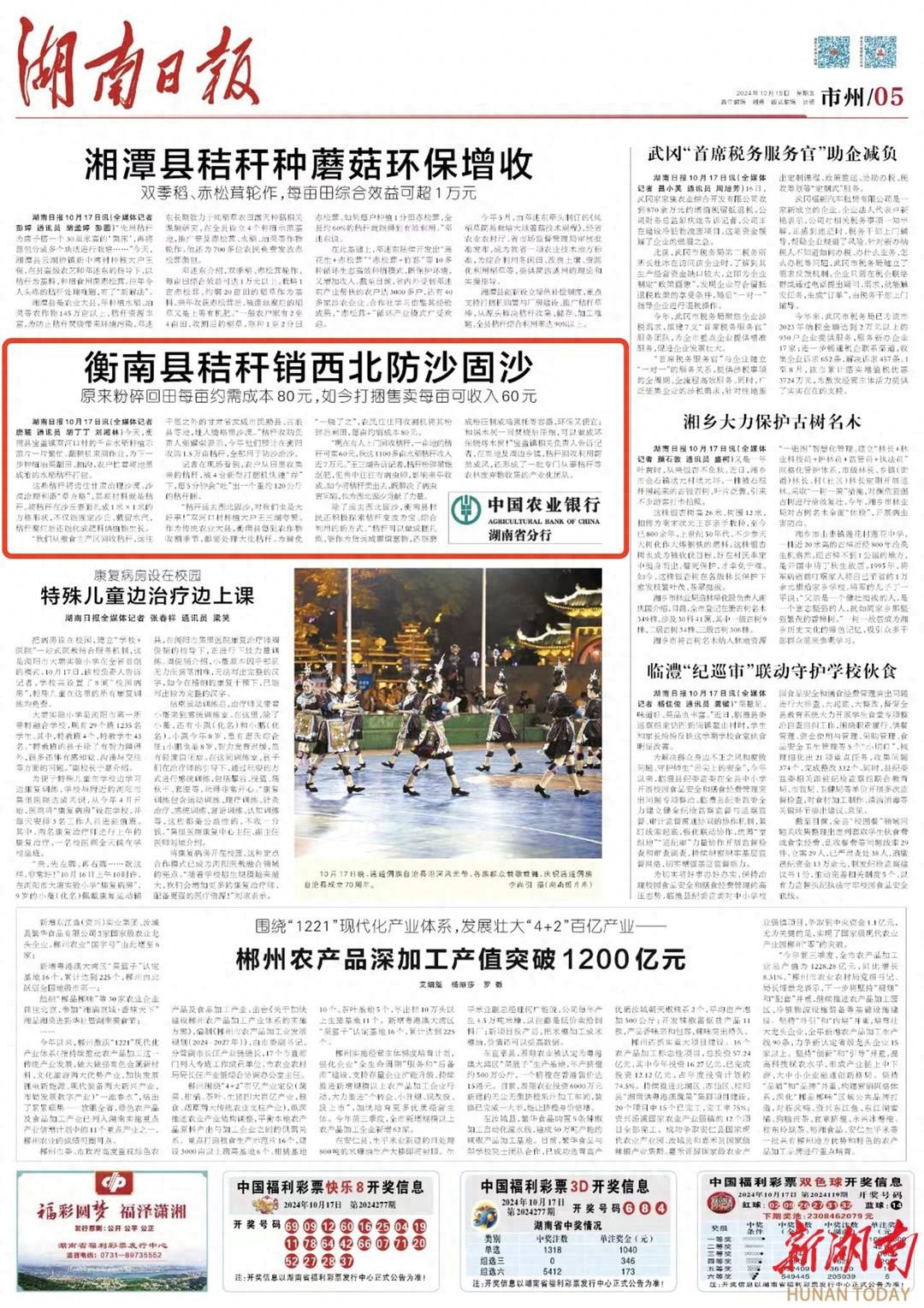 湖南衡阳千亩水稻秸秆变沙漠治理利器，助力甘肃防风固沙  第1张